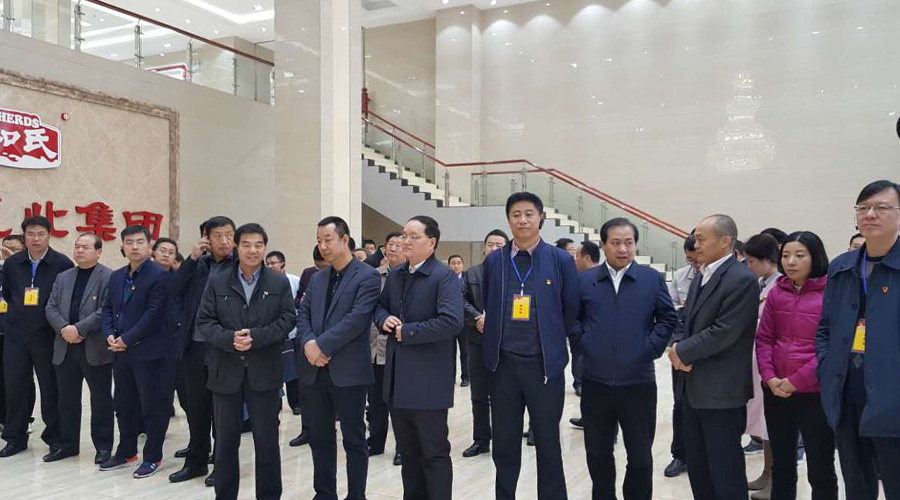 VIP888·(中国大陆)官方网站