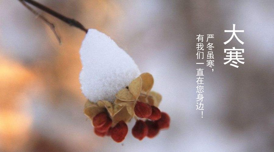 VIP888·(中国大陆)官方网站