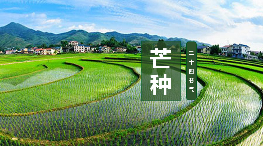 VIP888·(中国大陆)官方网站