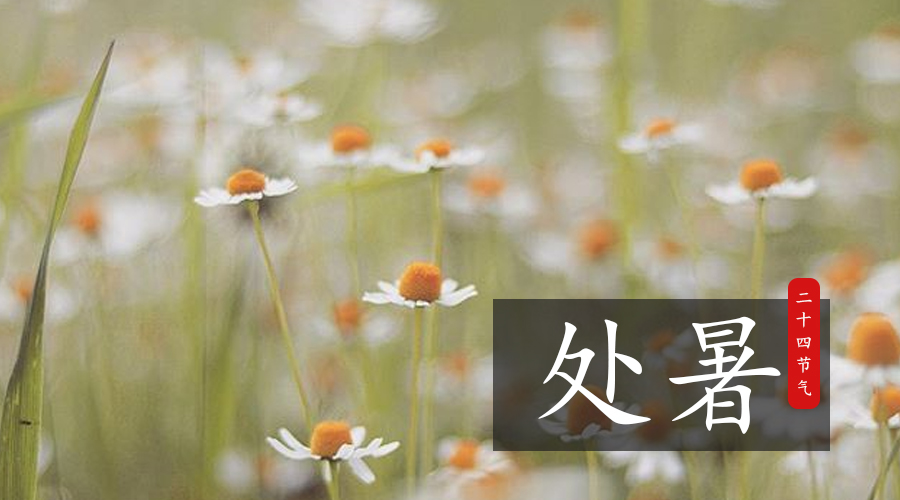 VIP888·(中国大陆)官方网站