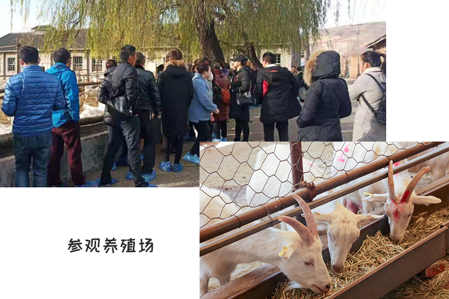 VIP888·(中国大陆)官方网站