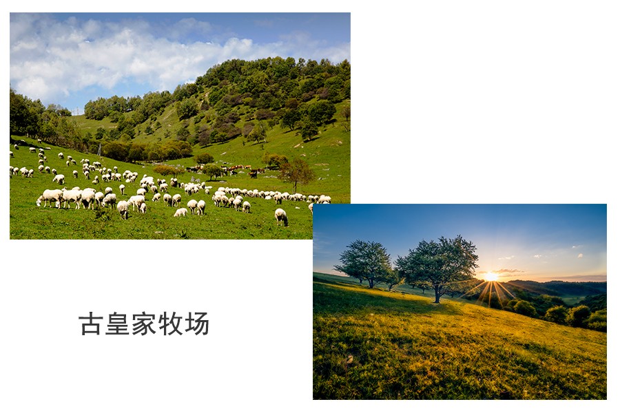 VIP888·(中国大陆)官方网站