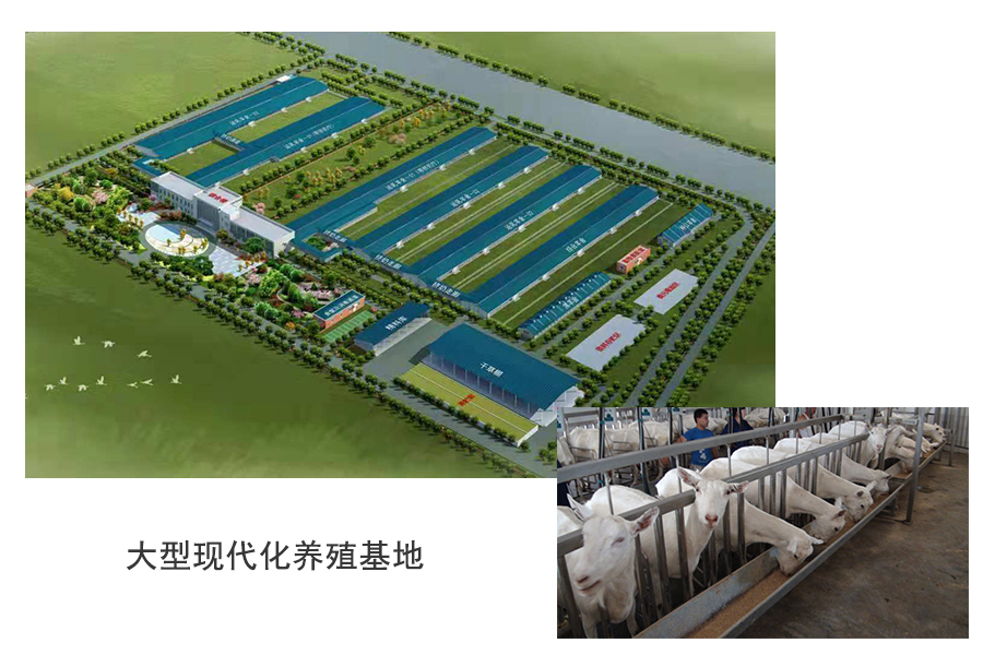 VIP888·(中国大陆)官方网站