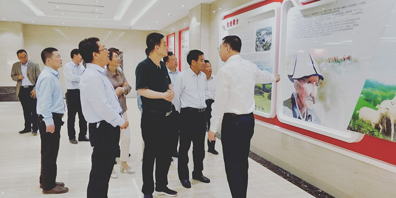 VIP888·(中国大陆)官方网站