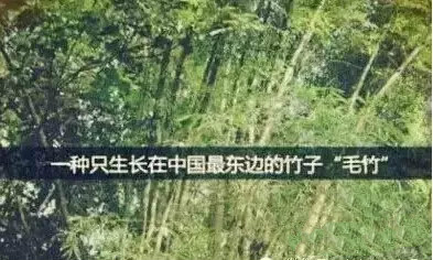 VIP888·(中国大陆)官方网站