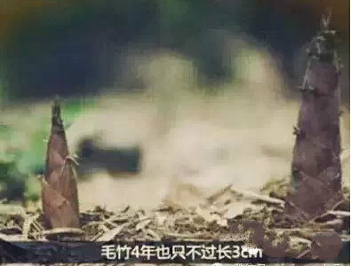 VIP888·(中国大陆)官方网站